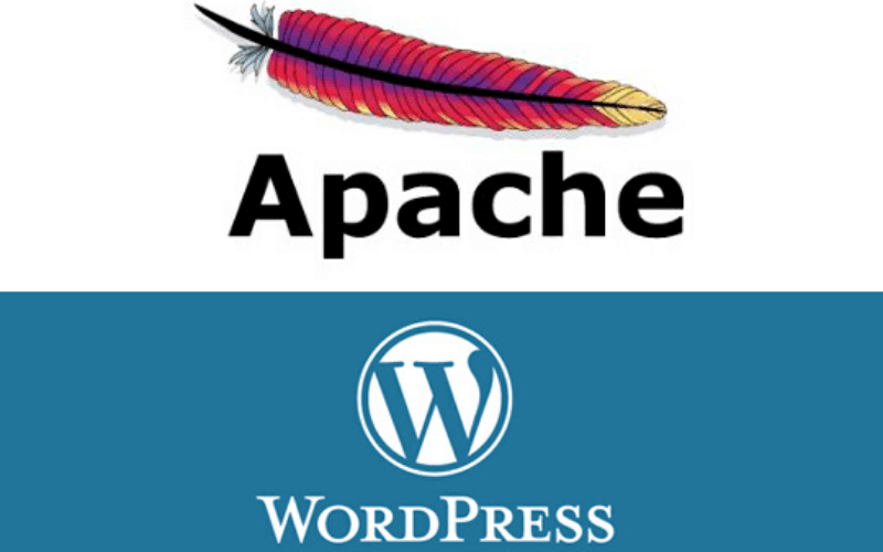 Cómo instalar WordPress en local en tu ordenador