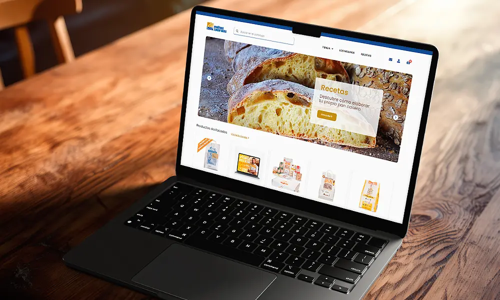 Portafolios Diseño Tiendas Online Asturias - Molinos Zamoranos