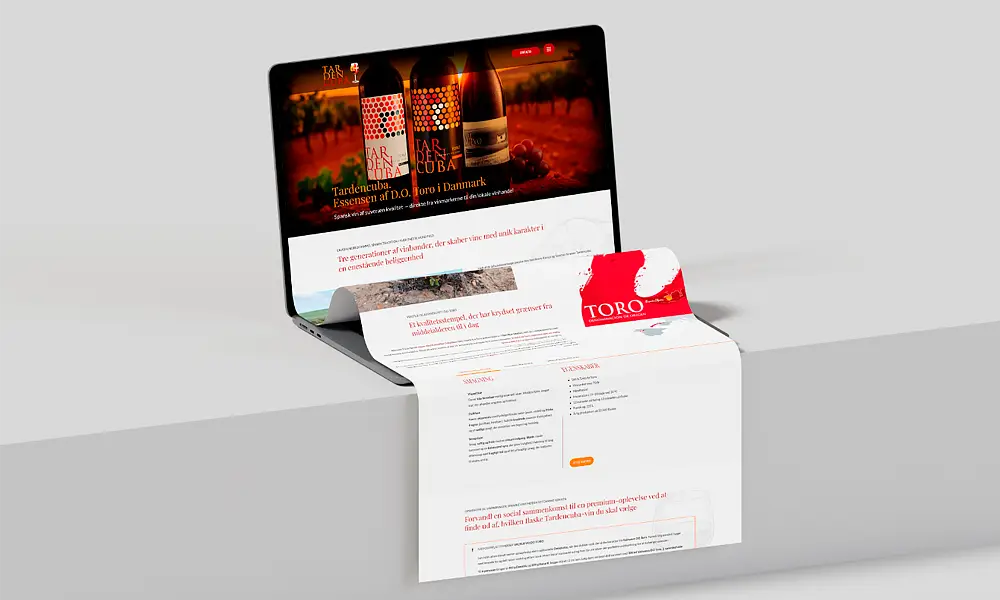 Portafolios Diseño Web Asturias - Tardencuba Landing Campaña Dinamarca